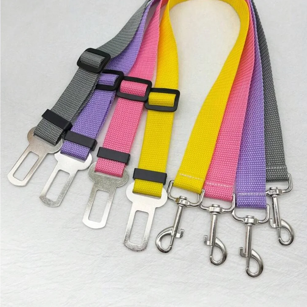 PET SEATBELT